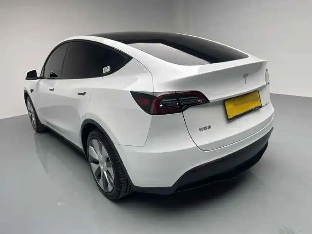 Tesla Model Y 2022 из CN, фото 6