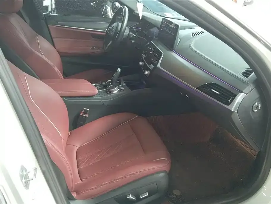 BMW 5 Series New Energy 2022 из CN, фото 9