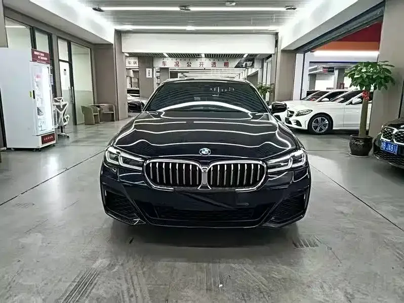BMW 5 Series 2022 из CN, фото 7