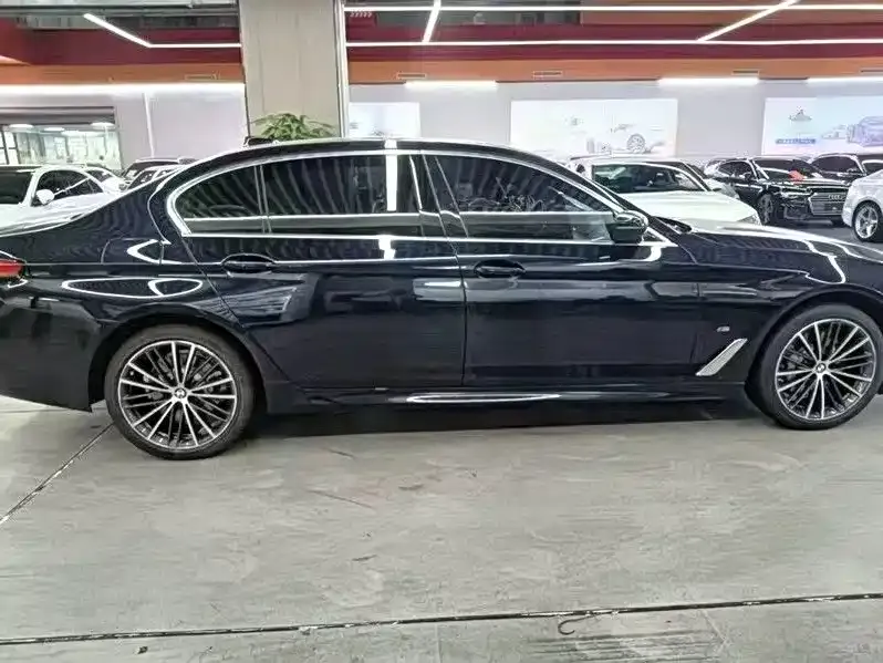 BMW 5 Series 2022 из CN, фото 3