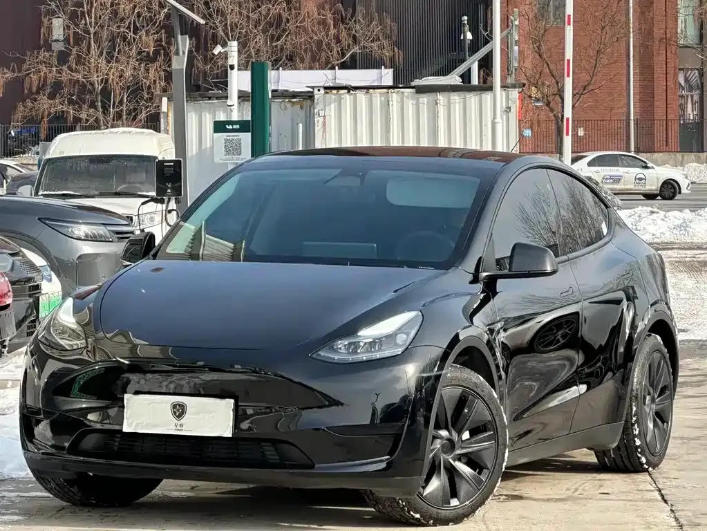 Tesla Model Y 2023 из CN, фото 1