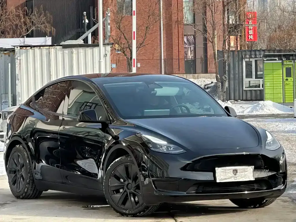 Tesla Model Y 2023 из CN, фото 10