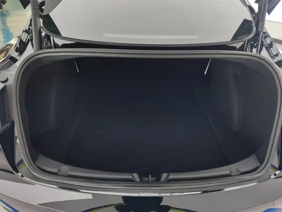 Tesla Model 3 2021 из CN, фото 6