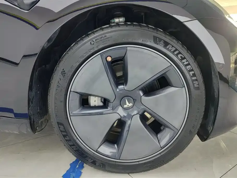 Tesla Model 3 2021 из CN, фото 5