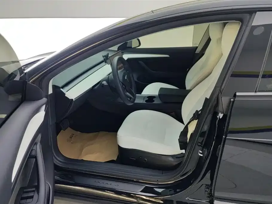 Tesla Model 3 2021 из CN, фото 3