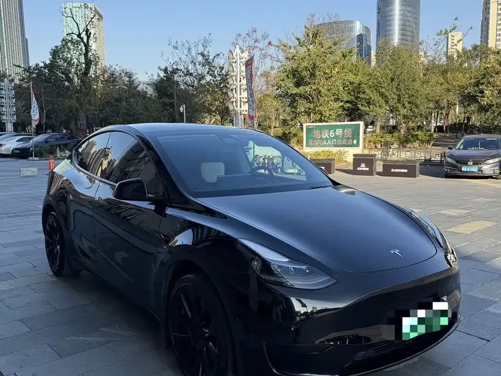 Tesla Model Y — фото 8