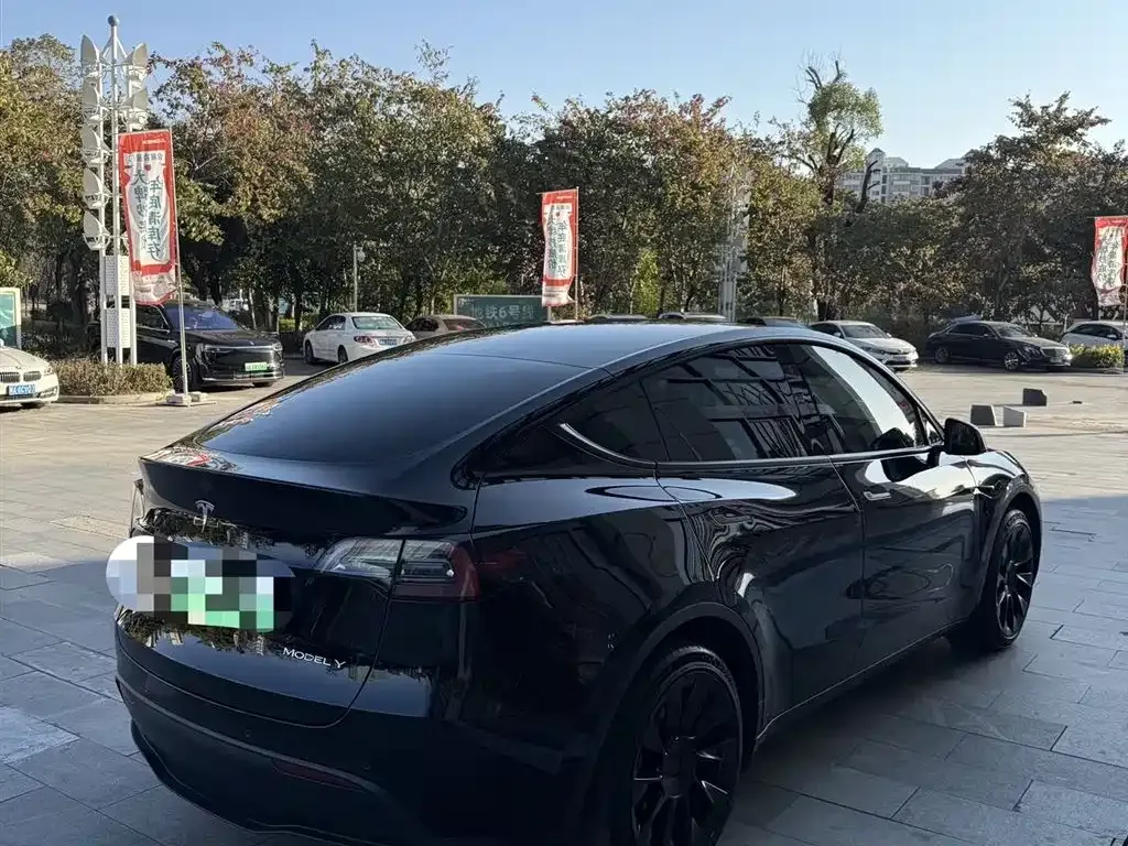 Tesla Model Y — фото 6