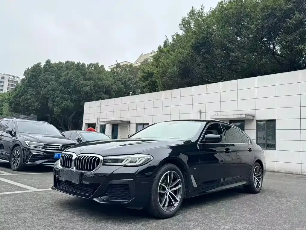 BMW 5 Series 2022 из CN, фото 1