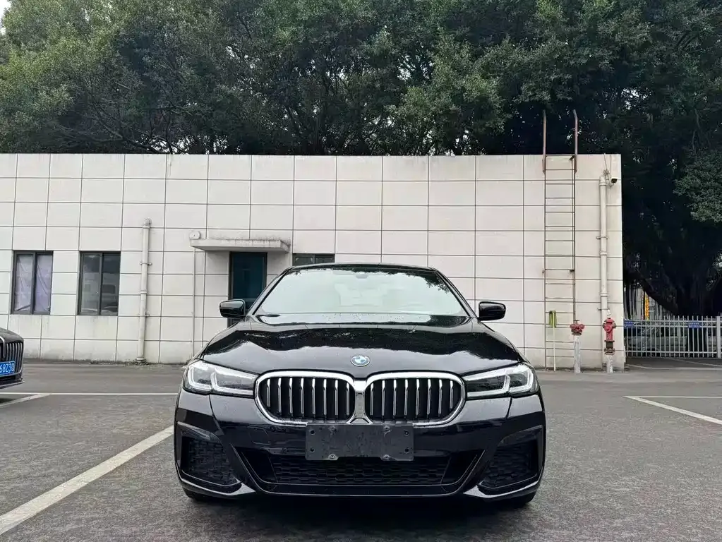 BMW 5 Series 2022 из CN, фото 5