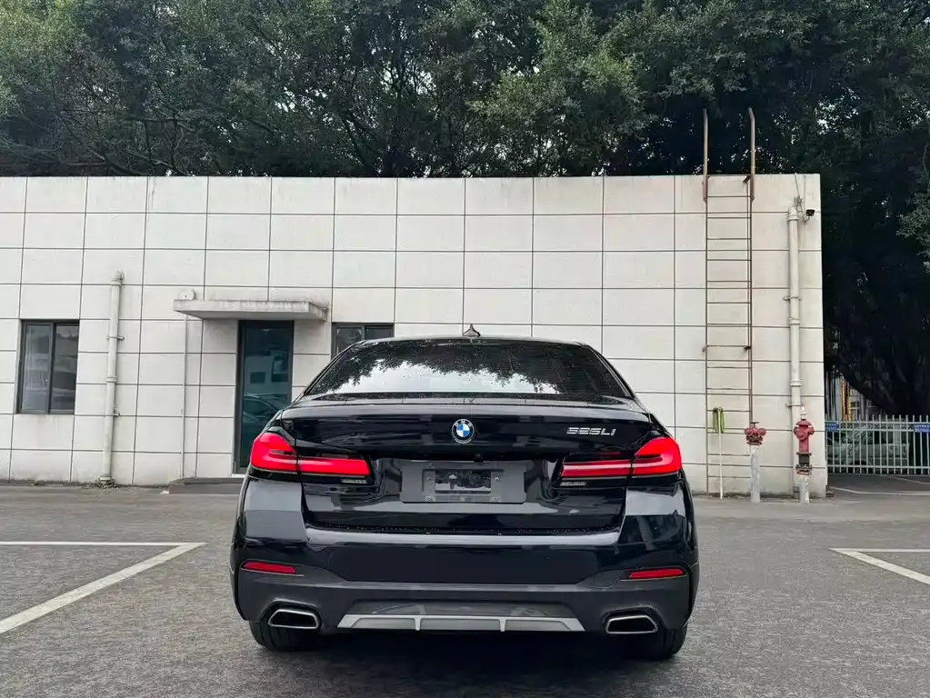 BMW 5 Series 2022 из CN, фото 6