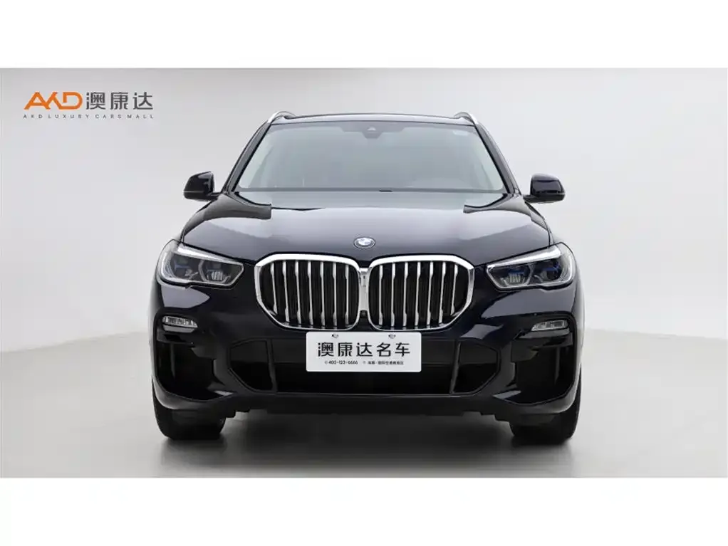 BMW X5 (Import) 2021 из CN, фото 9