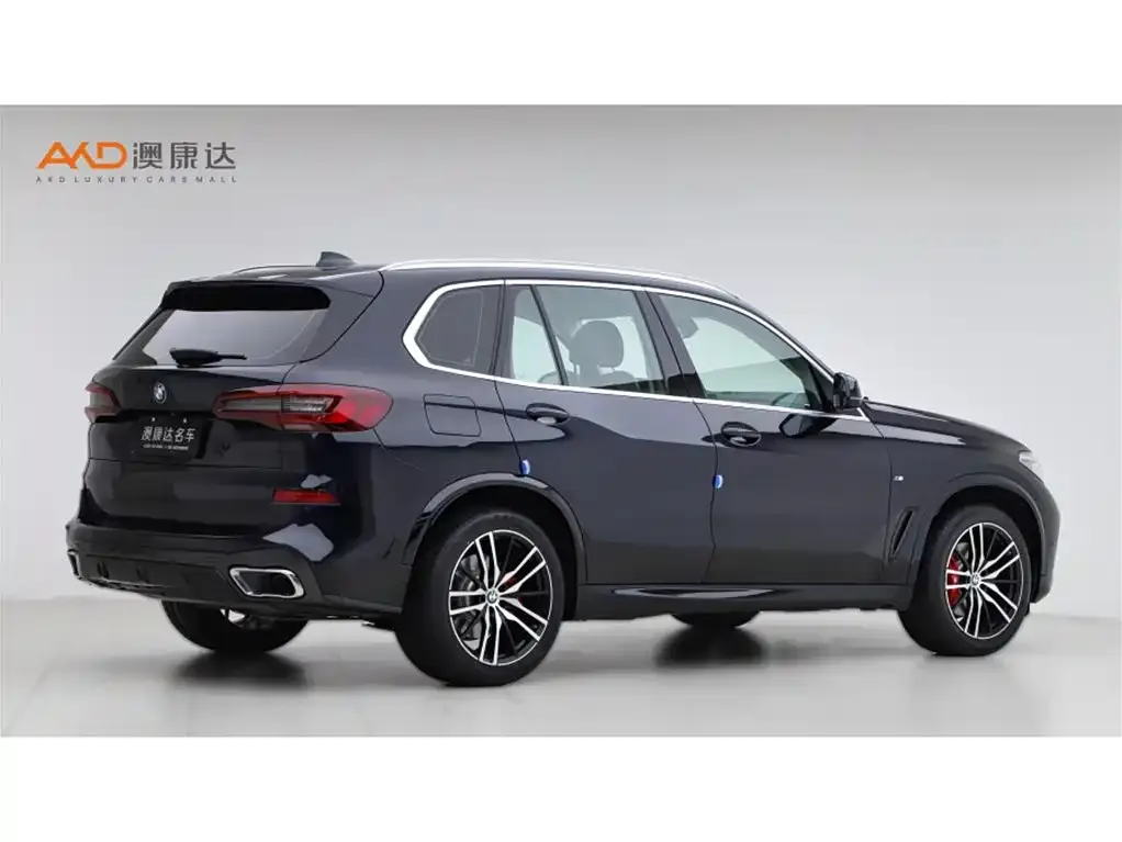 BMW X5 (Import) 2021 из CN, фото 5