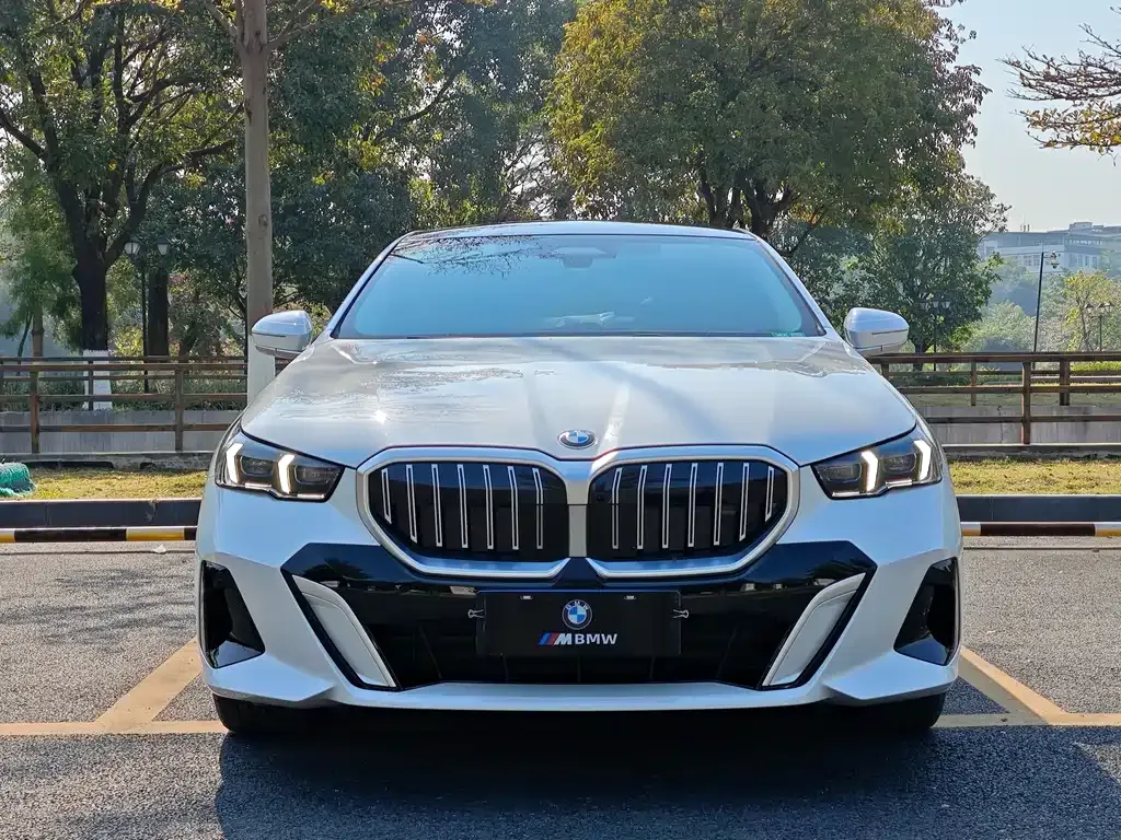 BMW 5 Series 2025 из CN, фото 8