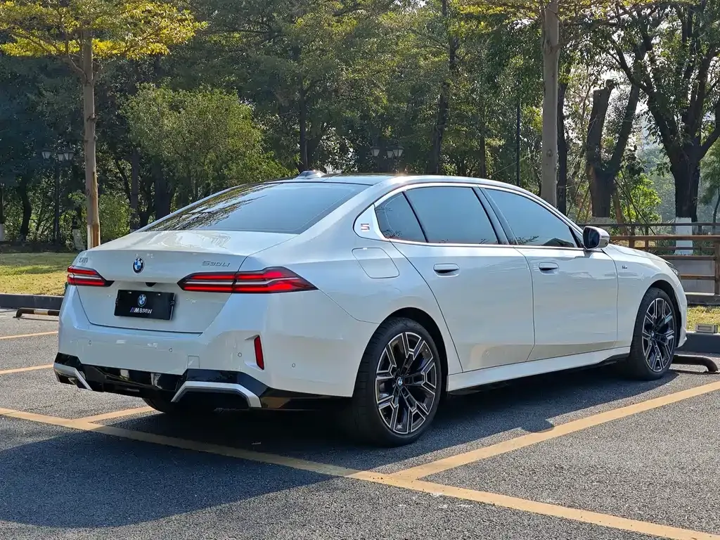 BMW 5 Series 2025 из CN, фото 6