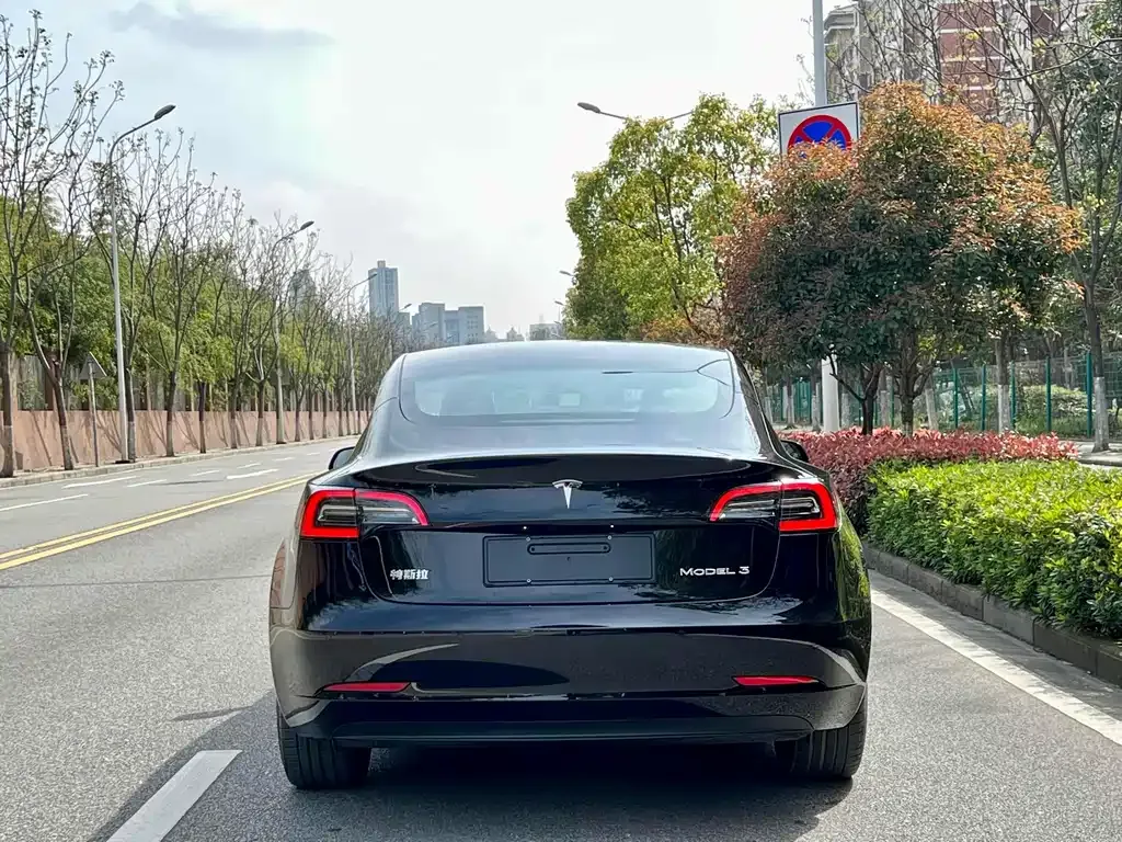 Tesla Model 3 2022 из CN, фото 10