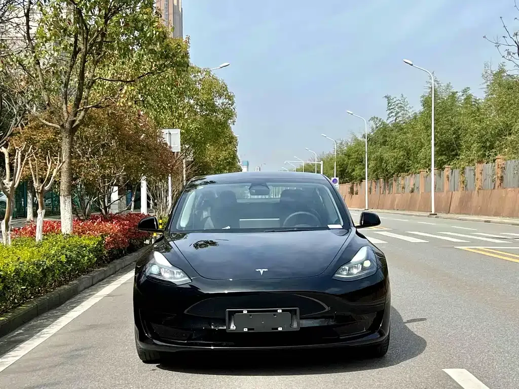Tesla Model 3 2022 из CN, фото 2
