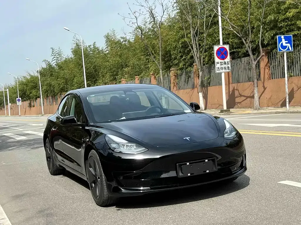 Tesla Model 3 2022 из CN, фото 3