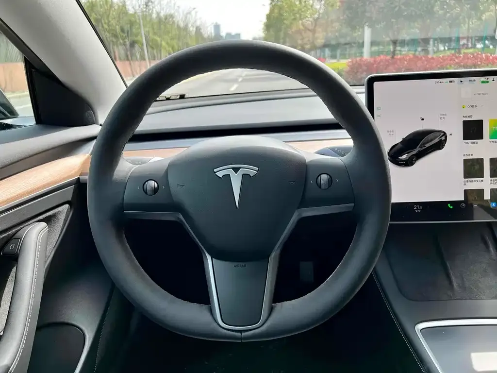Tesla Model 3 2022 из CN, фото 4