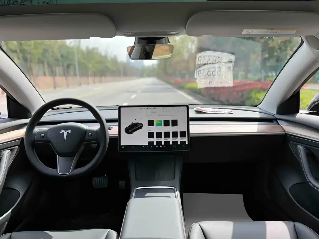 Tesla Model 3 2022 из CN, фото 7