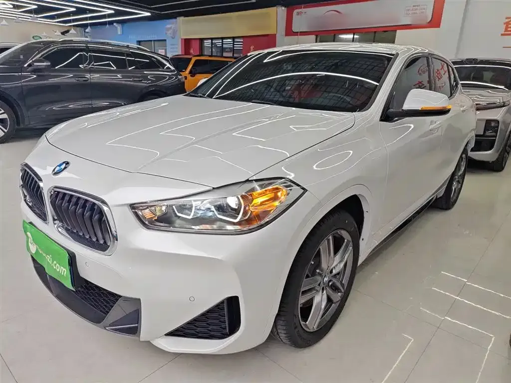 BMW X2 2022 из CN, фото 1