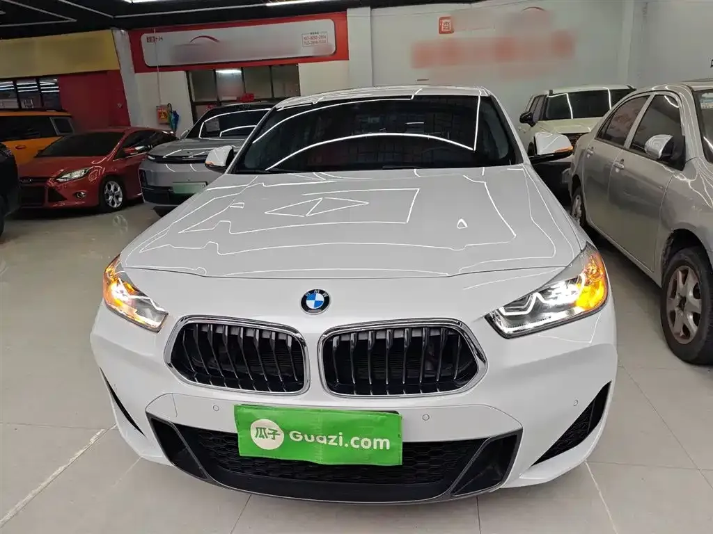 BMW X2 2022 из CN, фото 3