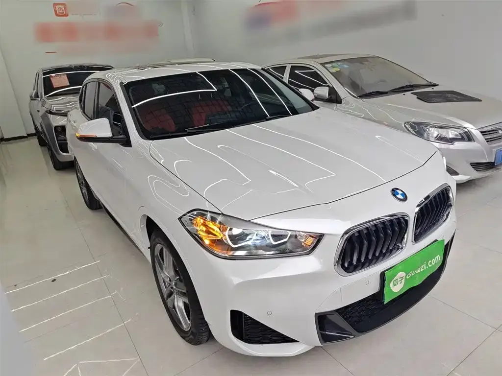 BMW X2 2022 из CN, фото 4