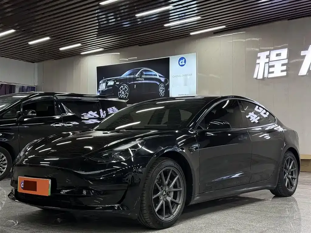 Tesla Model 3 2021 из CN, фото 1