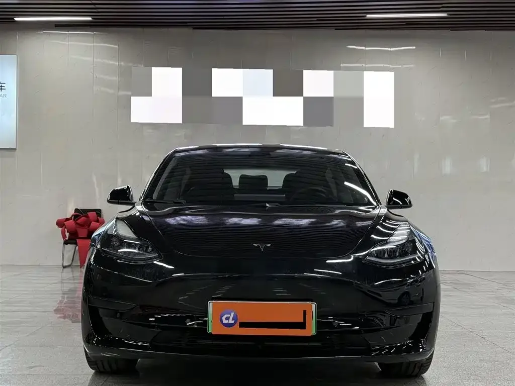 Tesla Model 3 2021 из CN, фото 8
