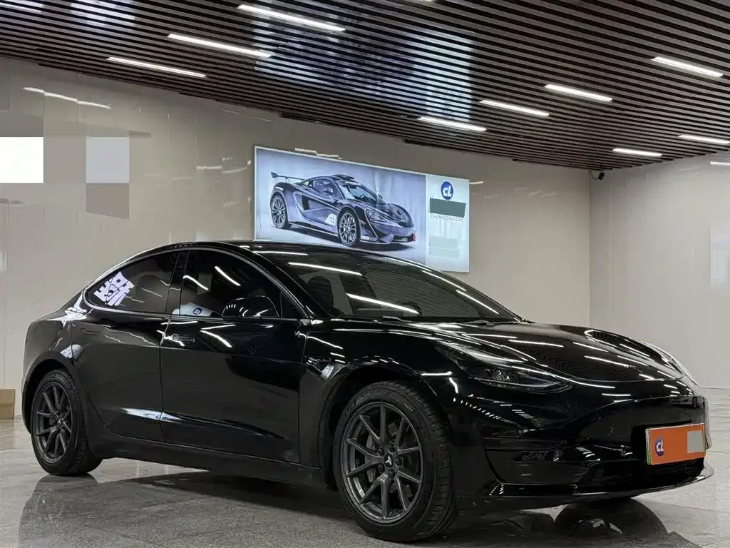 Tesla Model 3 2021 из CN, фото 2
