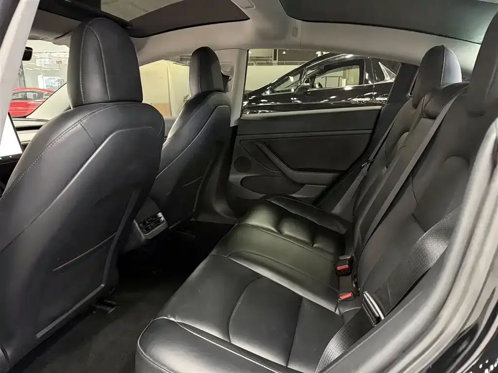 Tesla Model 3 2021 из CN, фото 5