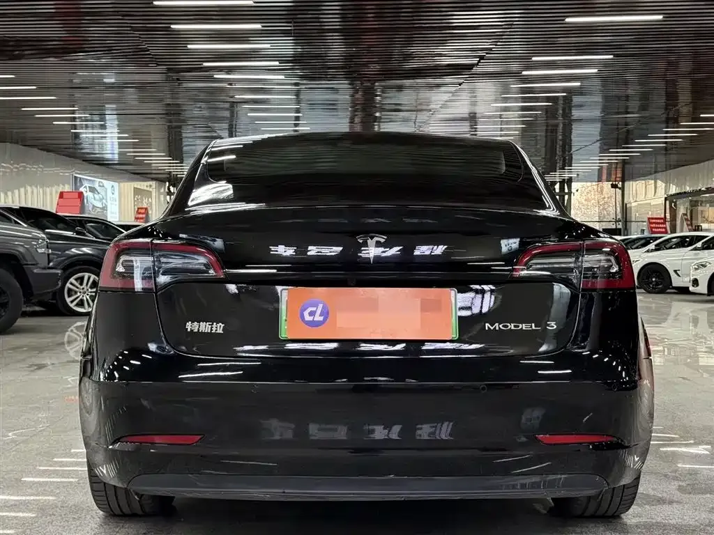 Tesla Model 3 2021 из CN, фото 6