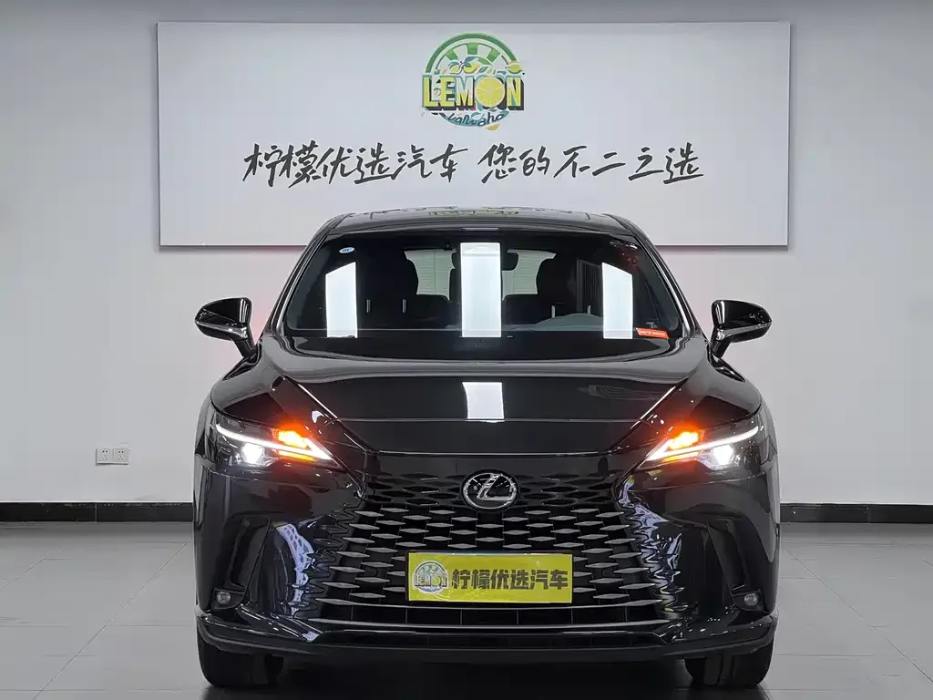Lexus RX 2024 из CN, фото 9