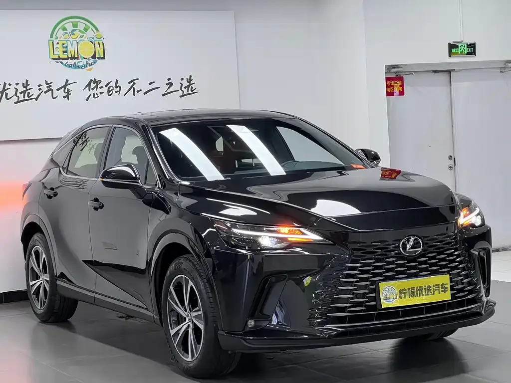 Lexus RX 2024 из CN, фото 10