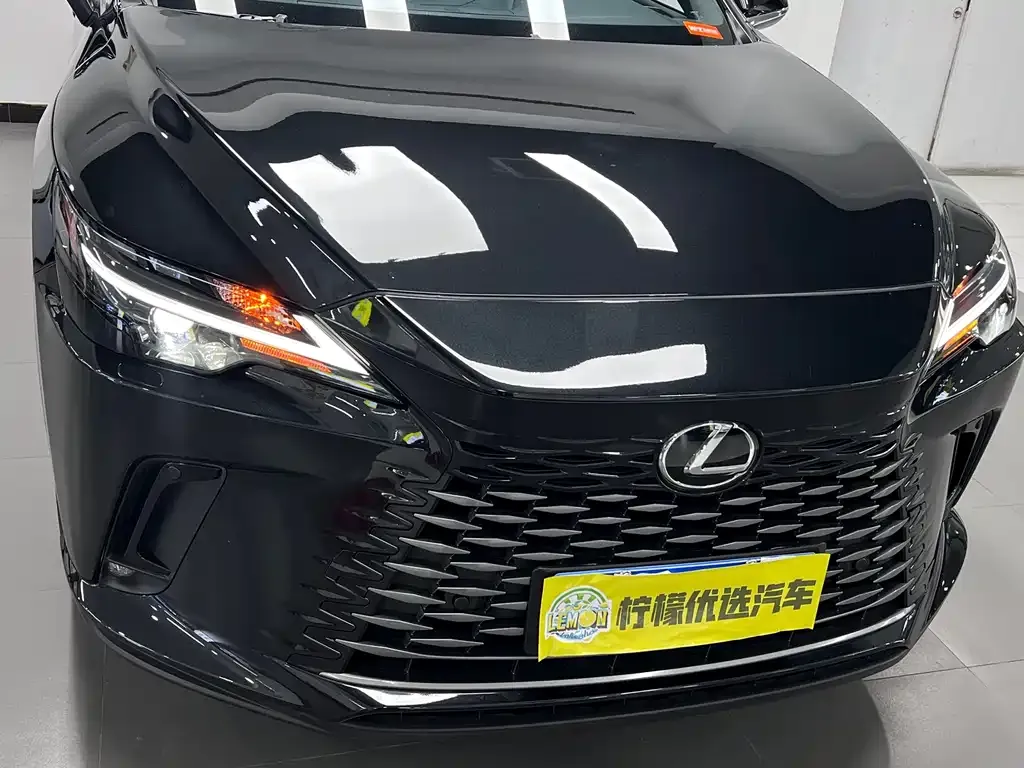 Lexus RX 2024 из CN, фото 7