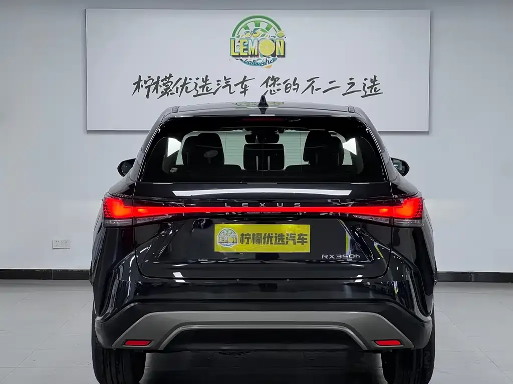 Lexus RX 2024 из CN, фото 8