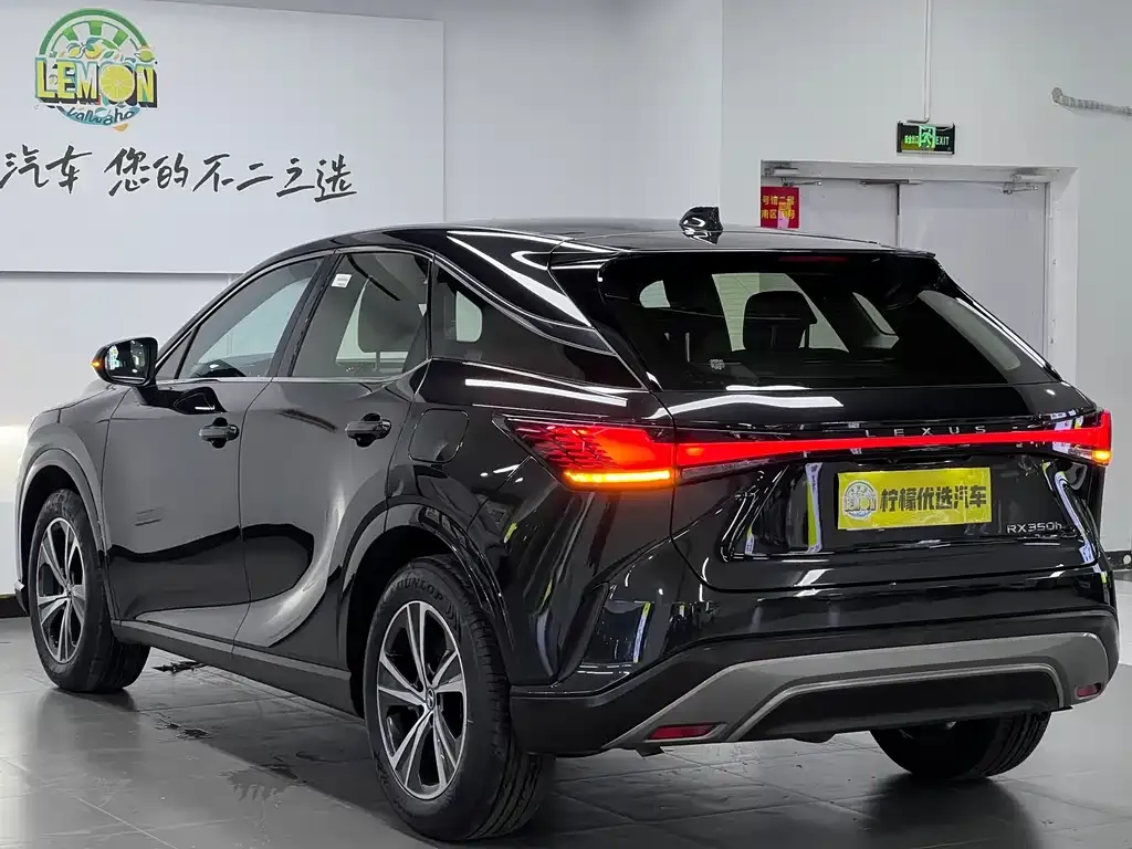 Lexus RX 2024 из CN, фото 4