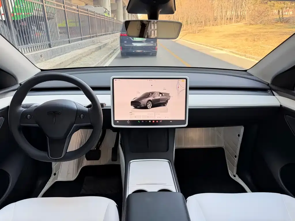 Tesla Model Y 2023 из CN, фото 9