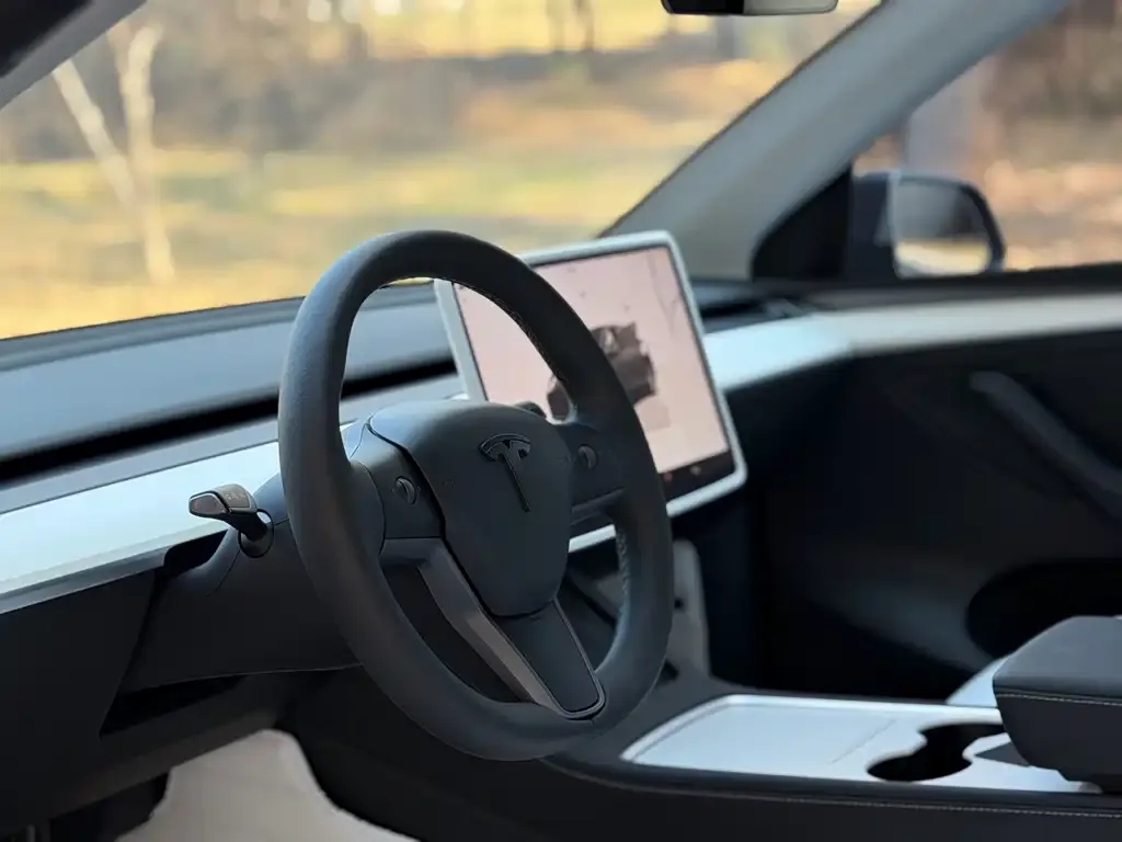 Tesla Model Y 2023 из CN, фото 6