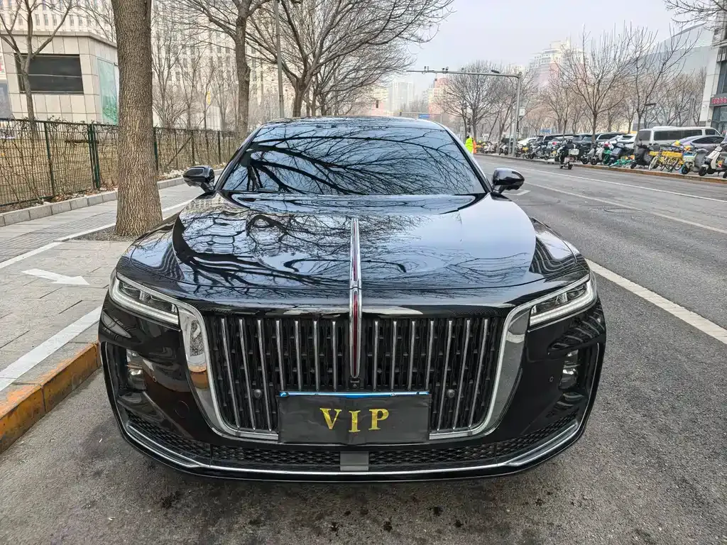 Hongqi H9 2023 из CN, фото 10