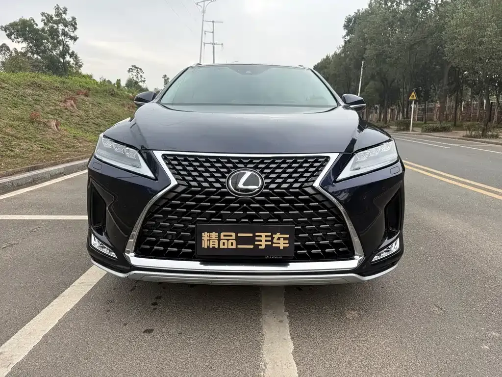 Lexus RX 2021 из CN, фото 10