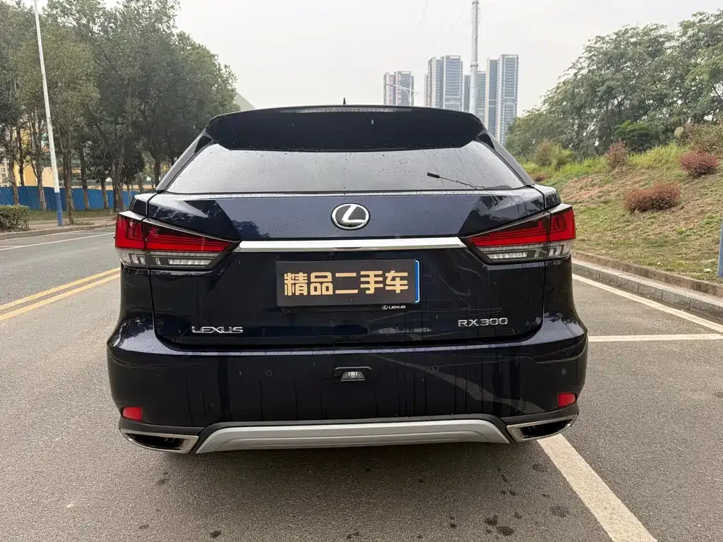 Lexus RX 2021 из CN, фото 9