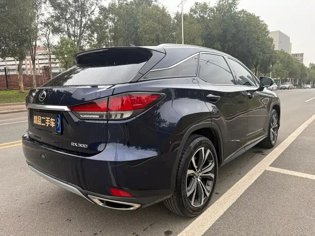 Lexus RX 2021 из CN, фото 8