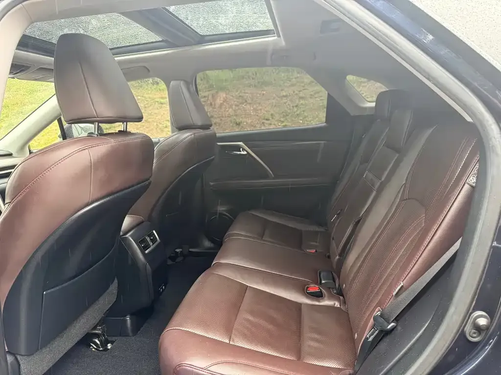 Lexus RX 2021 из CN, фото 6