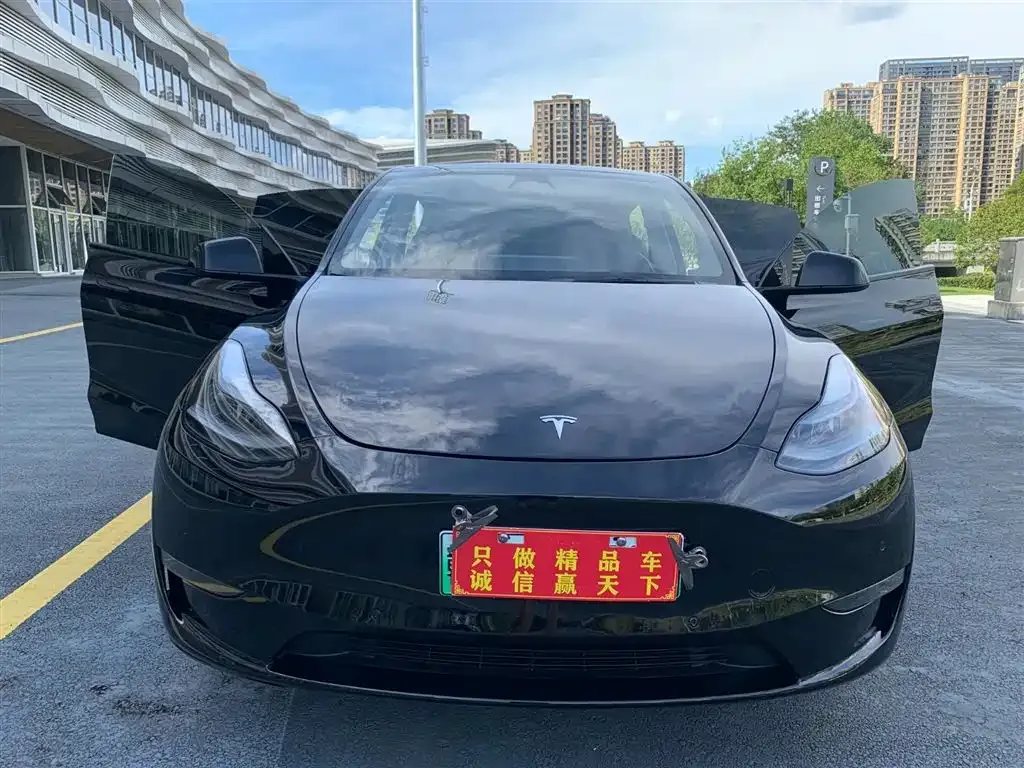 Tesla Model Y 2024 из CN, фото 4