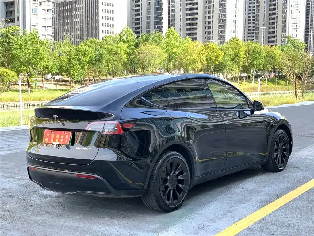 Tesla Model Y 2024 из CN, фото 9