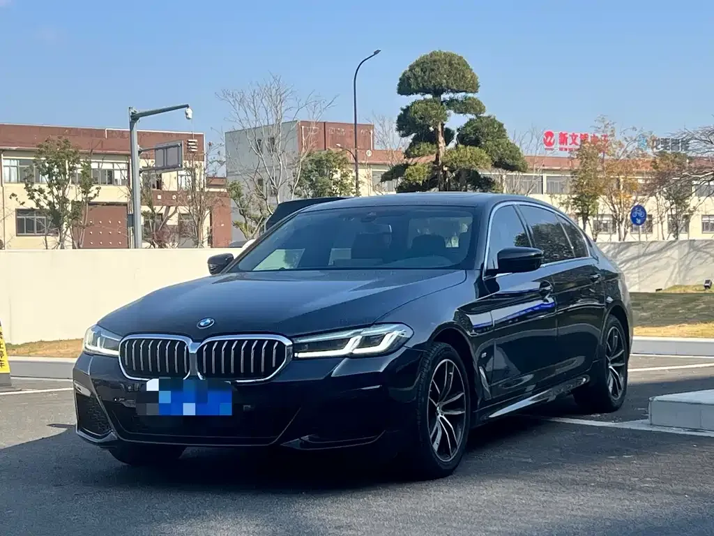 BMW 5 Series 2023 из CN, фото 1