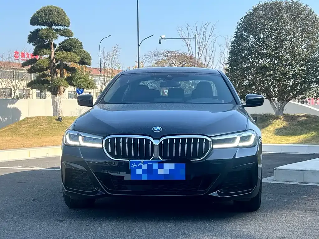 BMW 5 Series 2023 из CN, фото 3