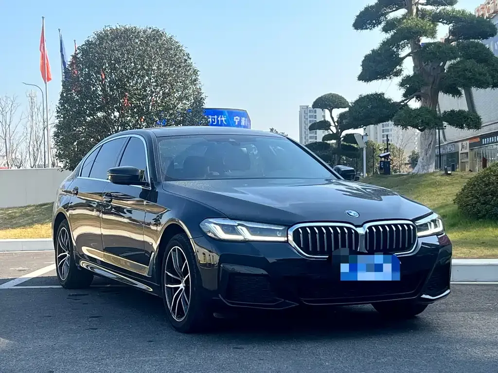BMW 5 Series 2023 из CN, фото 4