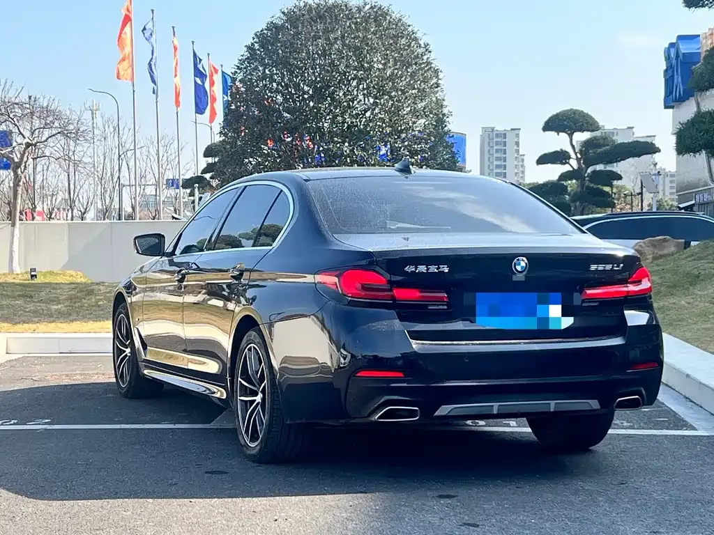 BMW 5 Series 2023 из CN, фото 9