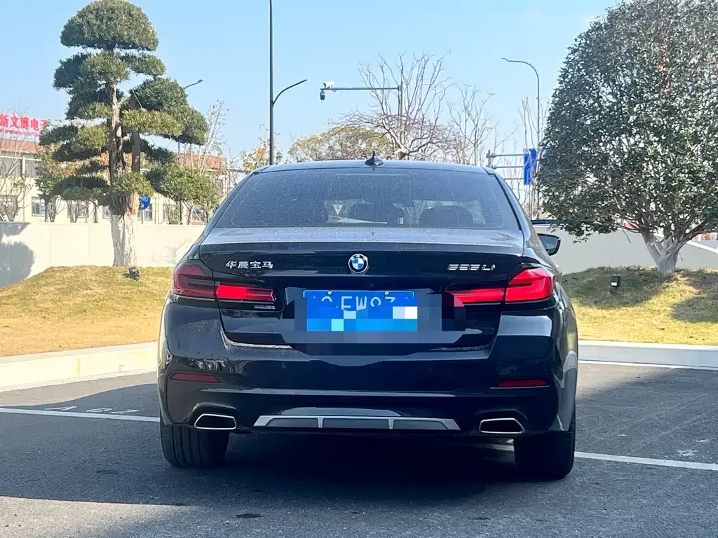 BMW 5 Series 2023 из CN, фото 6